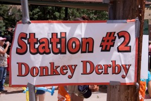 Donkey Derby Station #2