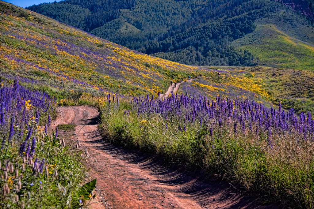 Driving in a Colorado Postcard | Denver Photo Blog