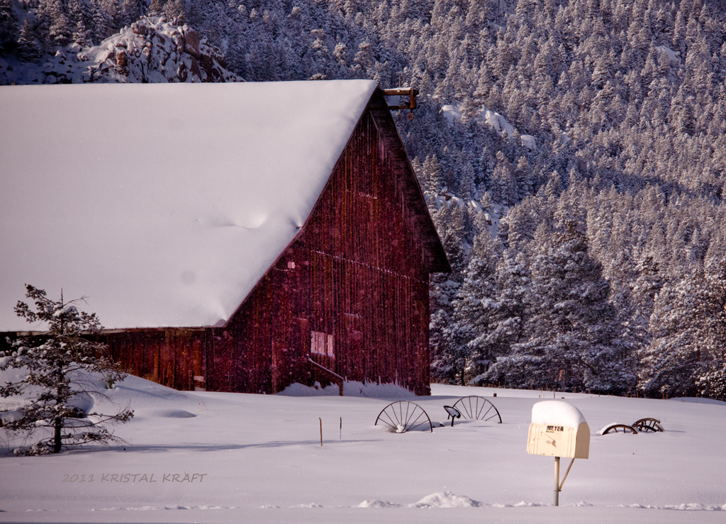 White Christmas in Colorado Denver Photo Blog