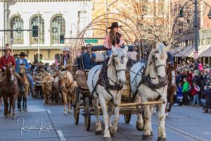 National Western Stock Show Parade begins with horses pulling a wagon and Texas Long Horn steer walking down Denver's 17th Street