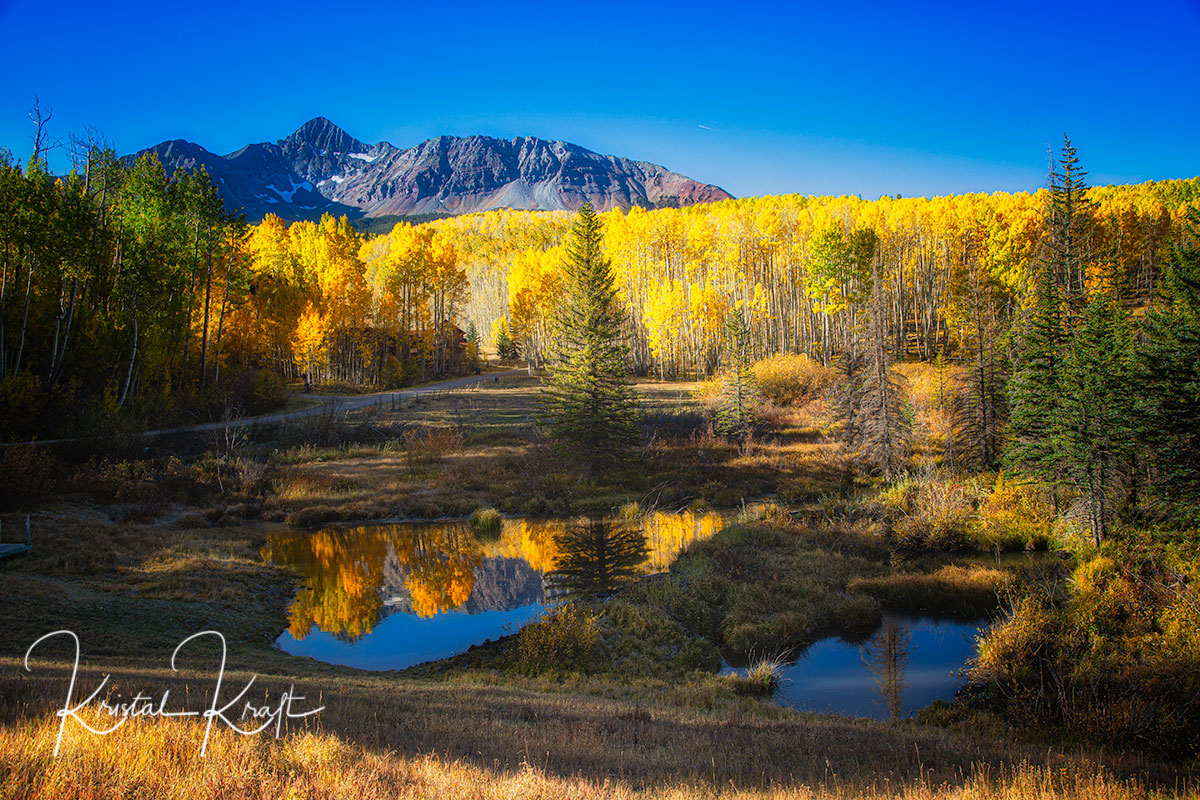 Fall Reflections