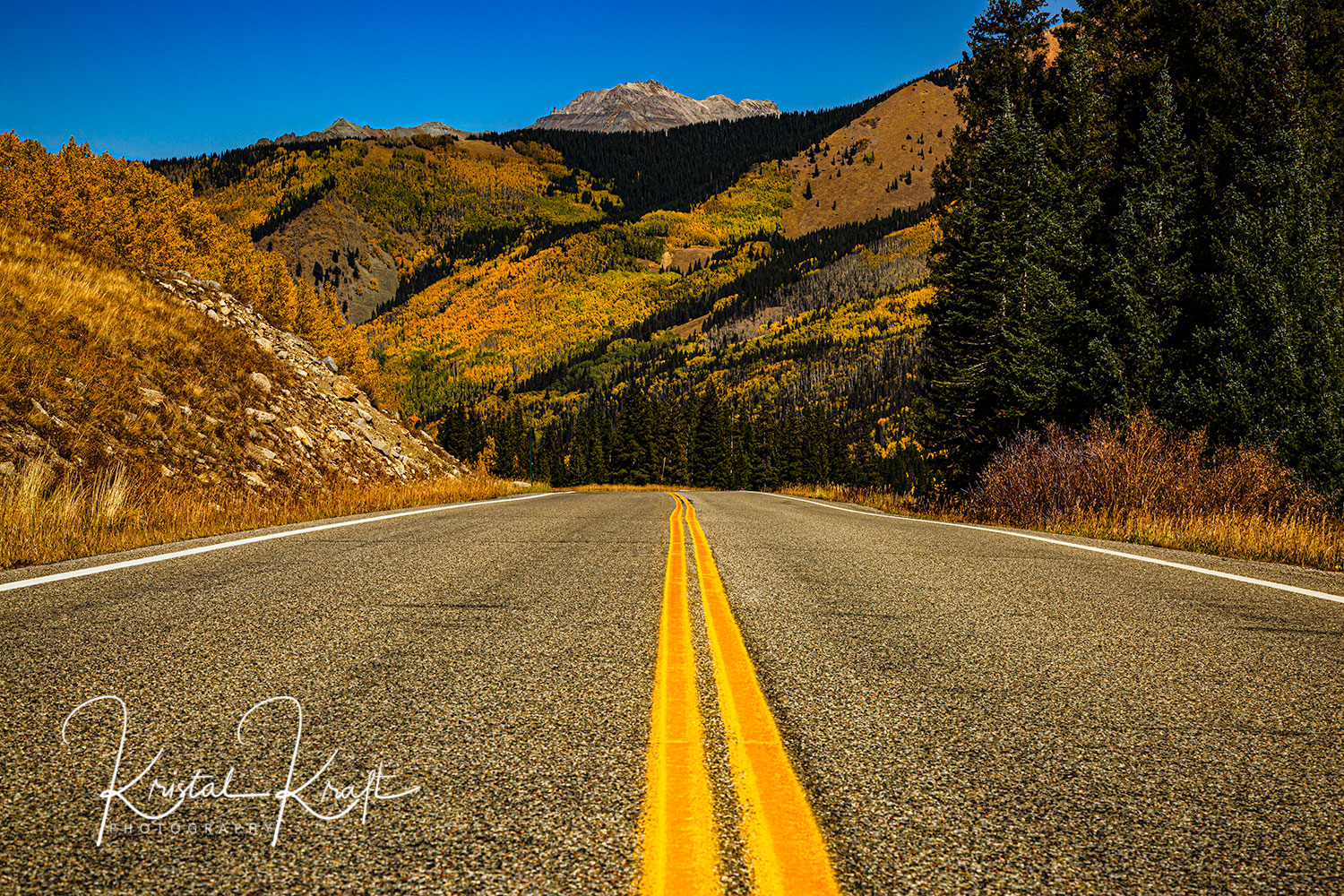 Fall Road Trip Denver Photo Blog